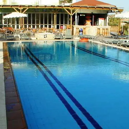 Vickys -