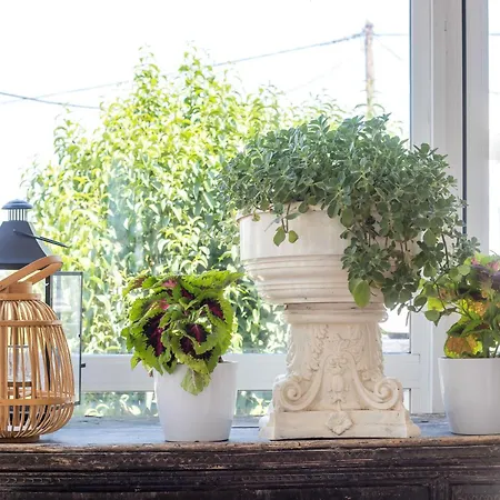 Vickys 아파트호텔 팔리라키