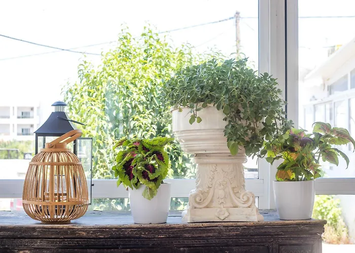 Vickys Apartahotel Faliraki