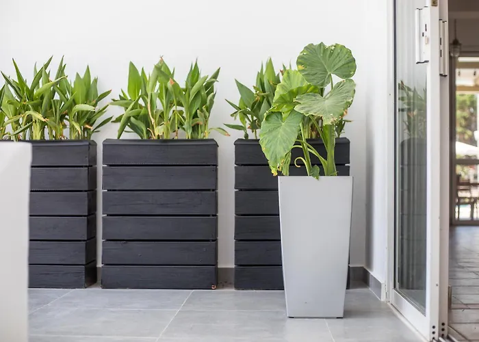 Vickys فاليراكي